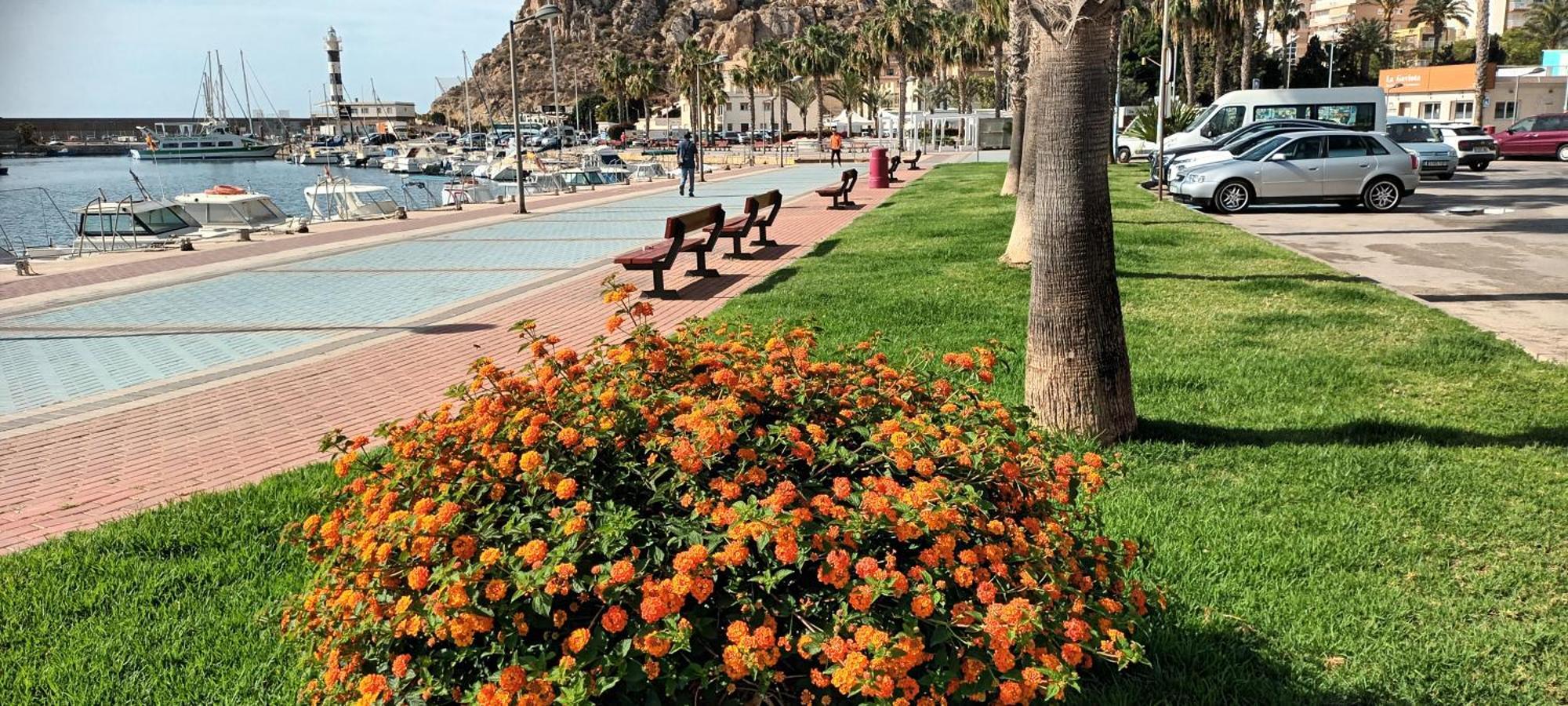 Apartamento Tranquilo Cerca De Buena Piscina Y Con Buen Aire Acondicionado Aguilas Ngoại thất bức ảnh